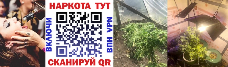 Где продают наркотики Тында hydra tor  АМФЕТАМИН  Alpha PVP  Псилоцибиновые грибы  Гашиш  МЕФ  МАРИХУАНА  COCAIN 