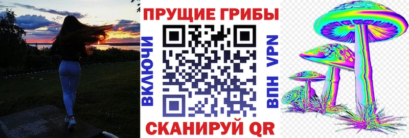 Галлюциногенные грибы прущие грибы  где купить   Тында 